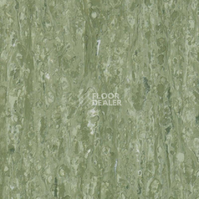 Линолеум Tarkett iq Optima Sage Green 0836 фото 1 | FLOORDEALER